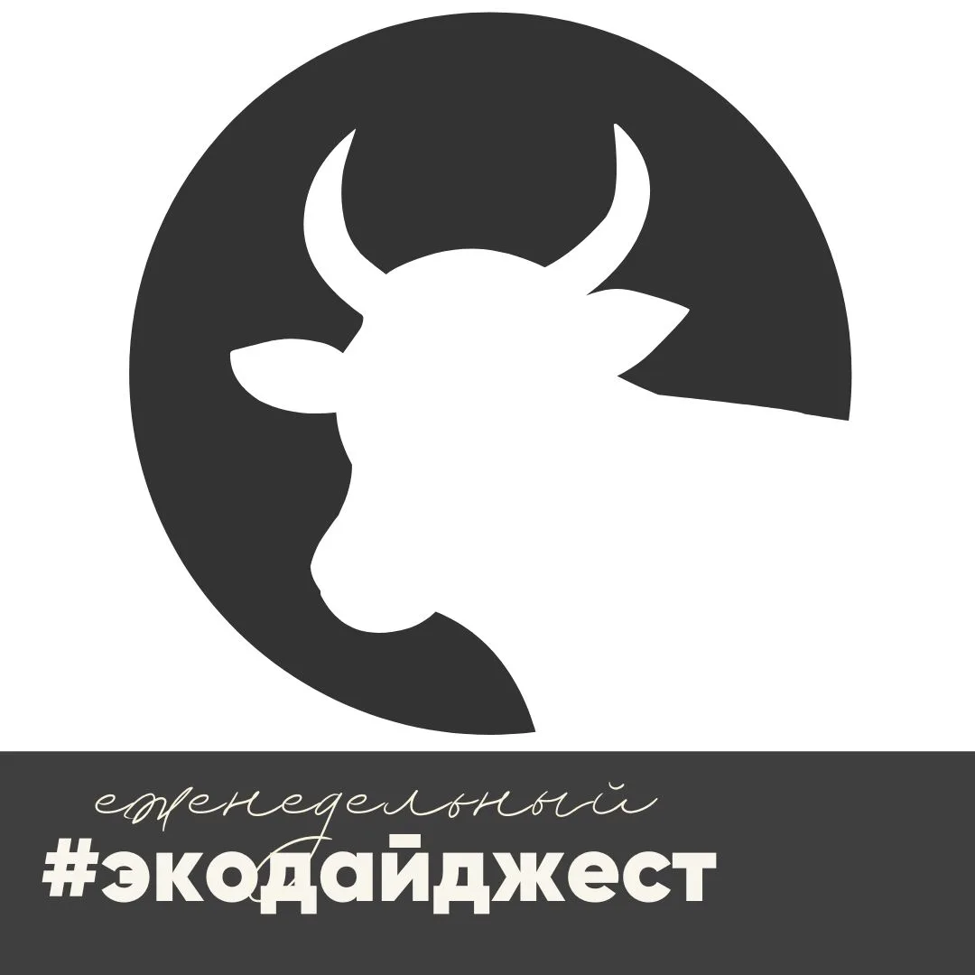 Если среди происходящего вокруг... безумия найдётся человек, которого заинтересует скро...