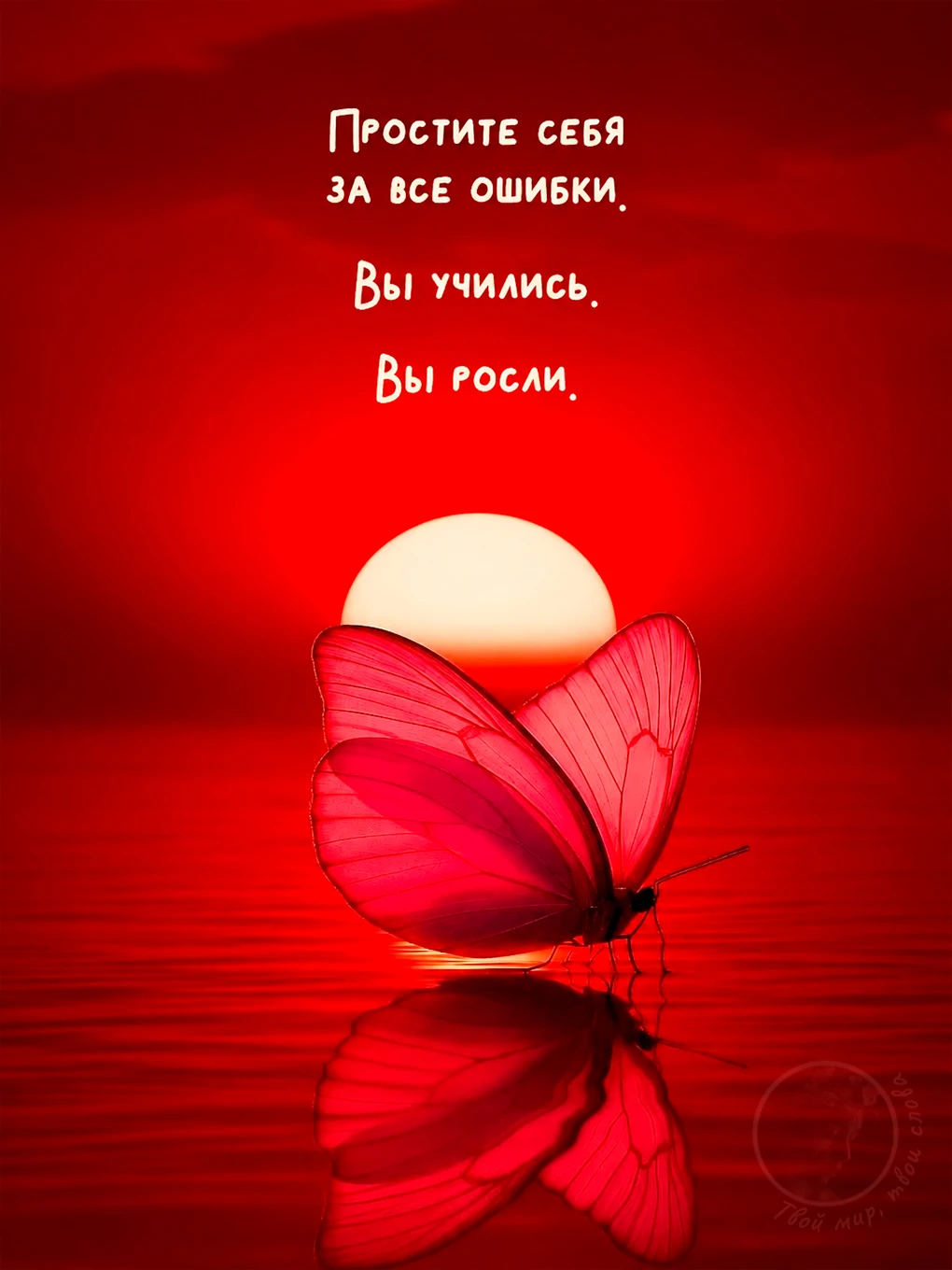 Твой мир, твои слова