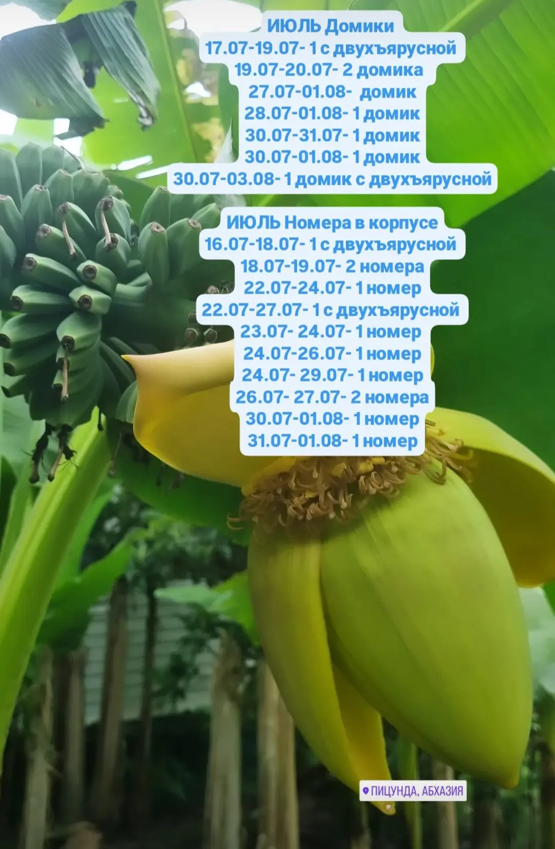 Ребятушки свободные окошки на  Июль,  Август,  Сентябрь.
Если определились с числами, не затягивайте