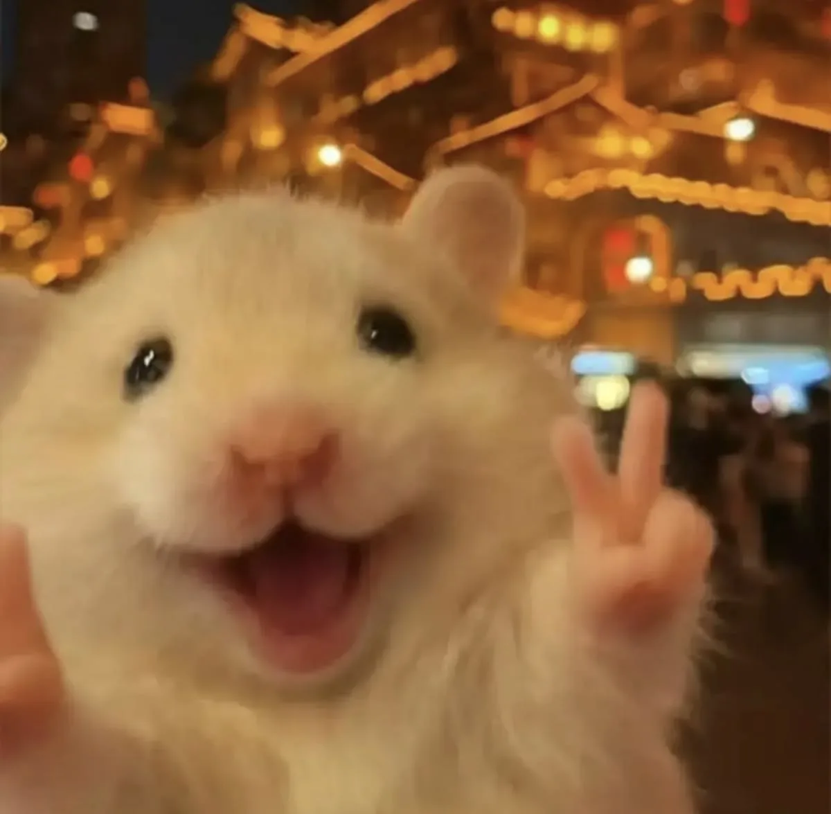 Всем хорошего вечера, друзья!😘