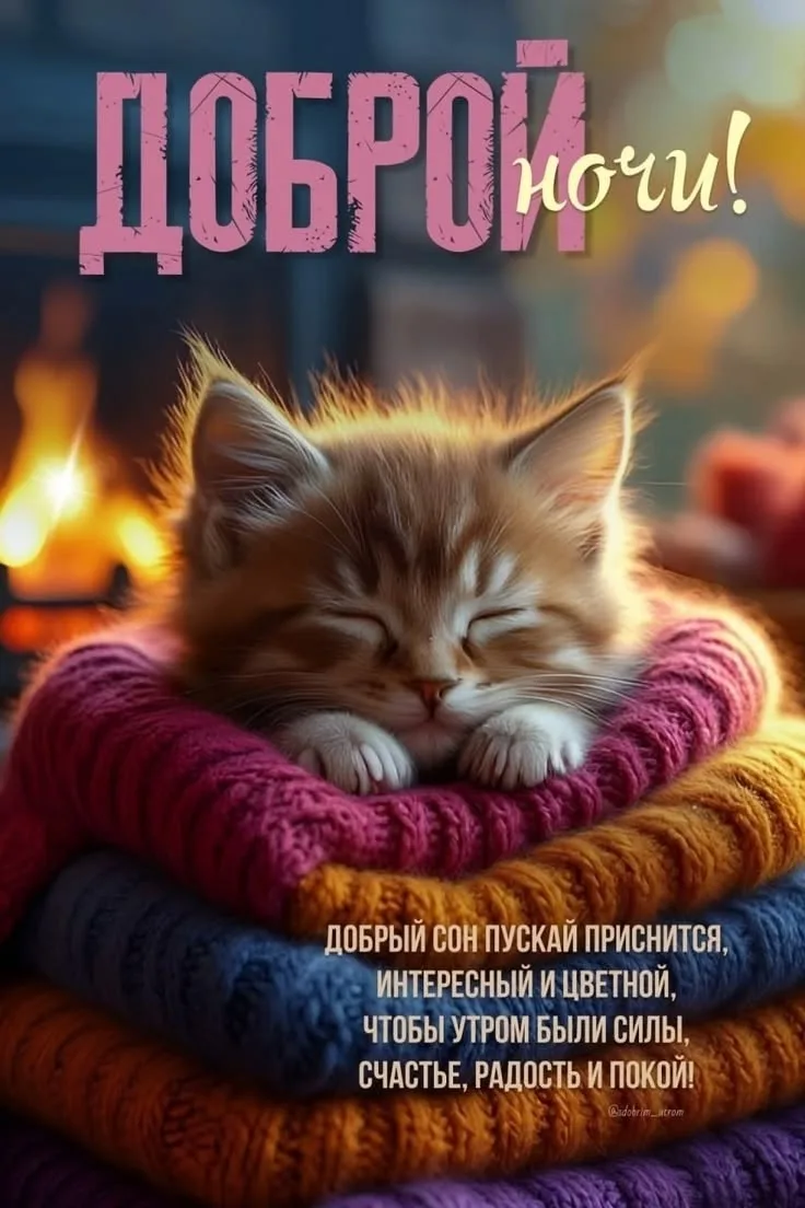 Предложить новость