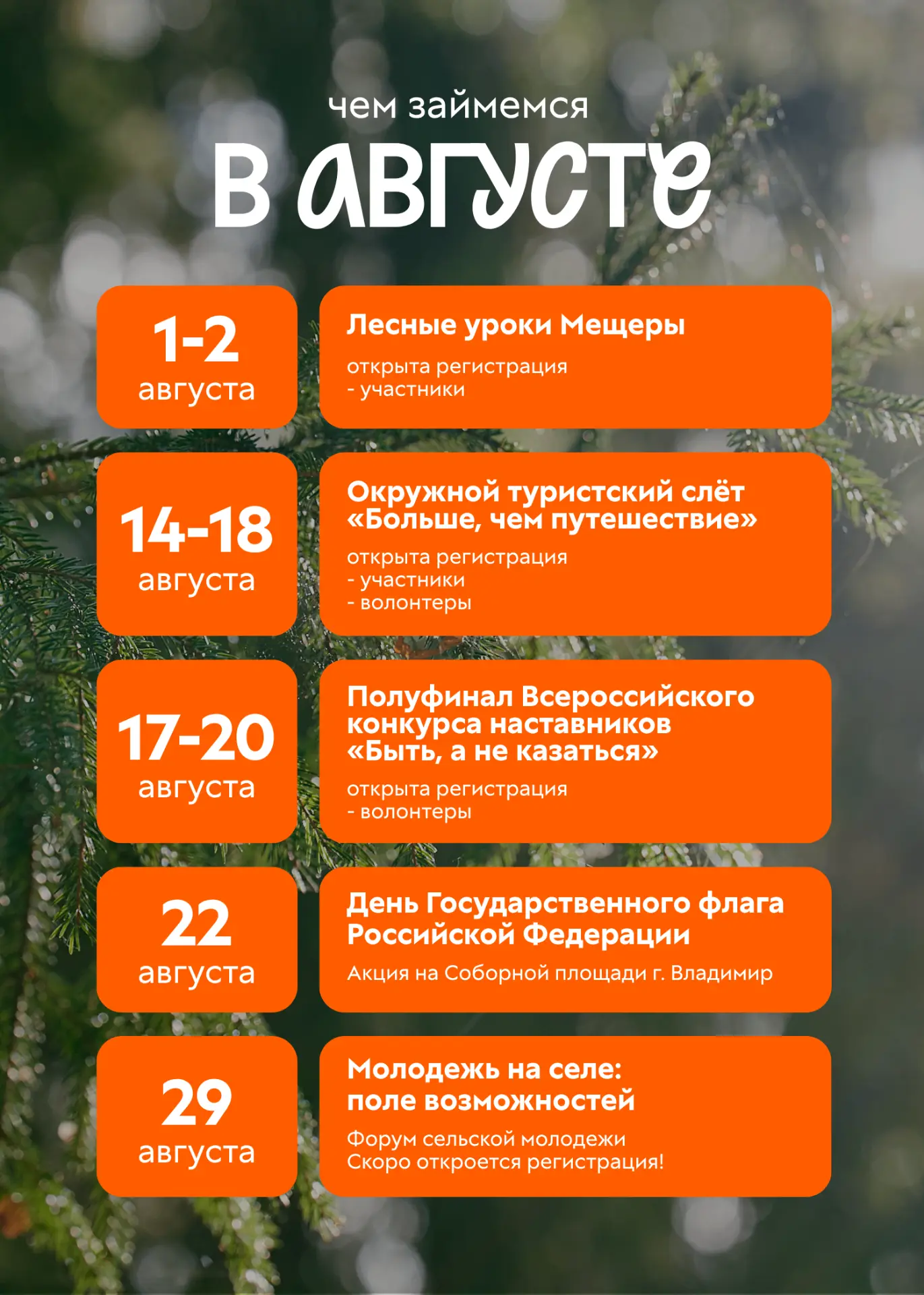 Медиа публикации