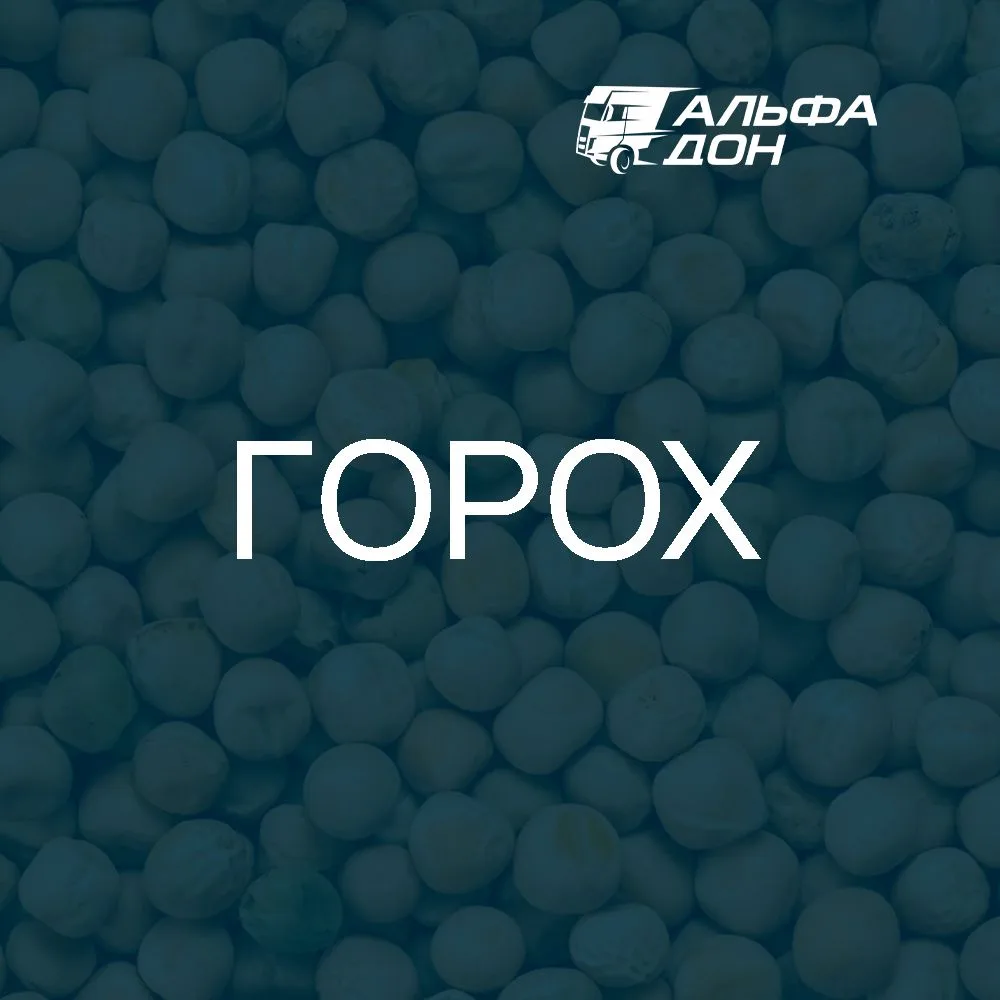 Наименование груза — Горох по полной (перегруз)