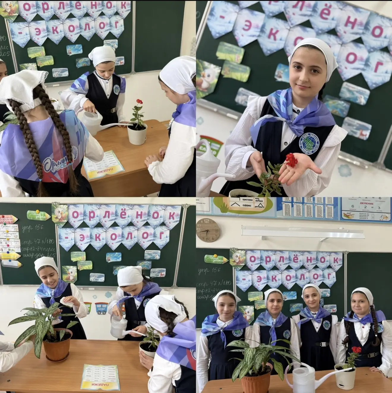 🐦 Завершение трека "Орленок-Эколог"! 🐦🌟