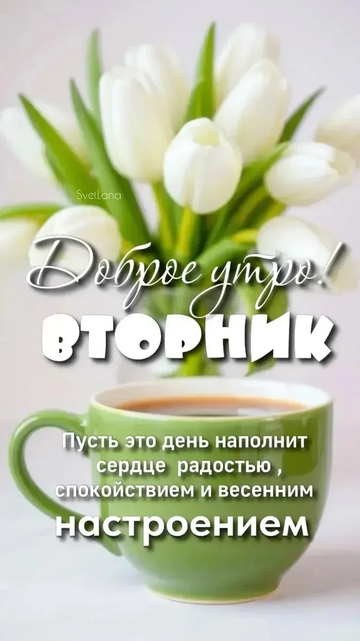 🌺ОТКРЫТКИ И ПОЗДРАВЛЕНИЯ 🌺