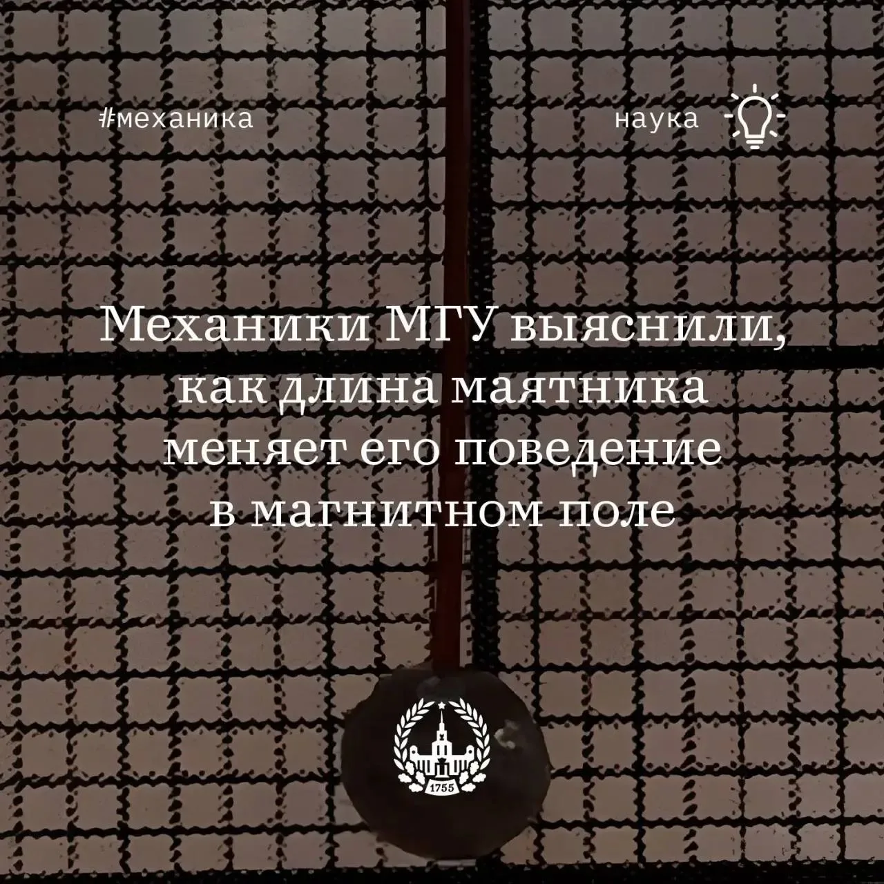 В НИИ механики МГУ изучили равновесие маятника с анизотропным магнитным телом
