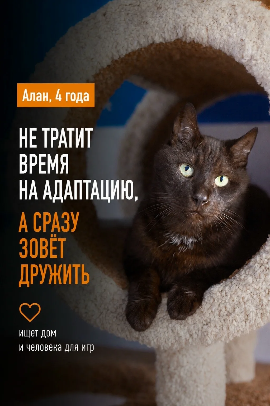 Знакомство с новичком: Алан.

Пока другие недоверчиво исследуют неизвестное место, Алан уже готов ис