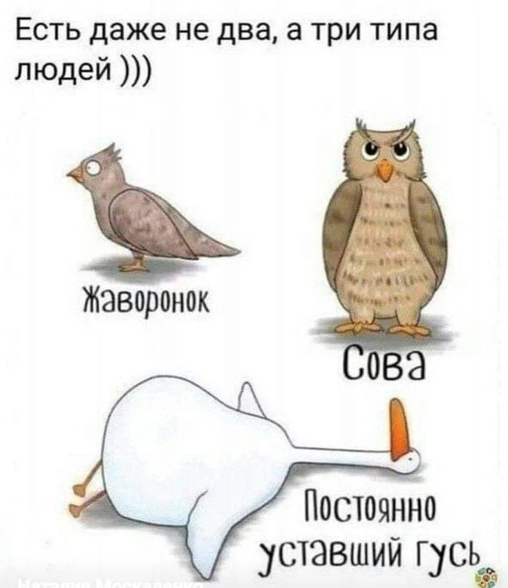 Всем доброго утра  ☀️