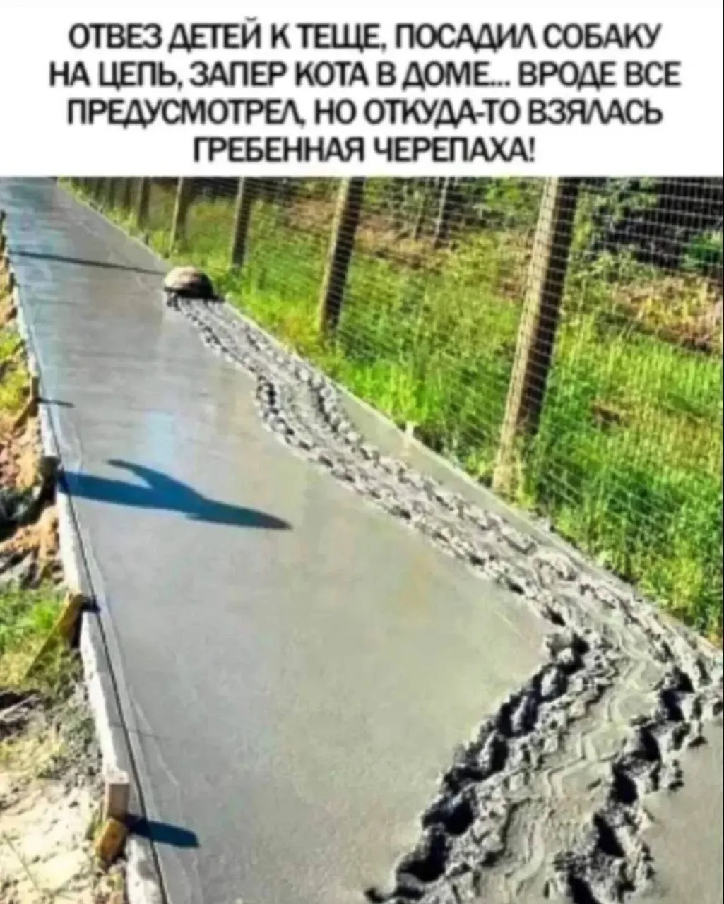 🎧 ПриколПодписаться 👈