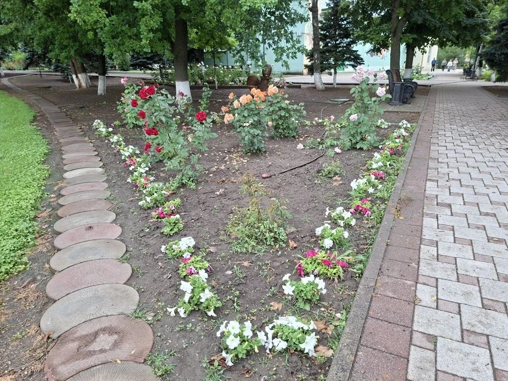 🌳 Наш парк глазами Вячеслава и небо Екатерины — спасибо за эти мгновения

Сегодня в наш чат прилете