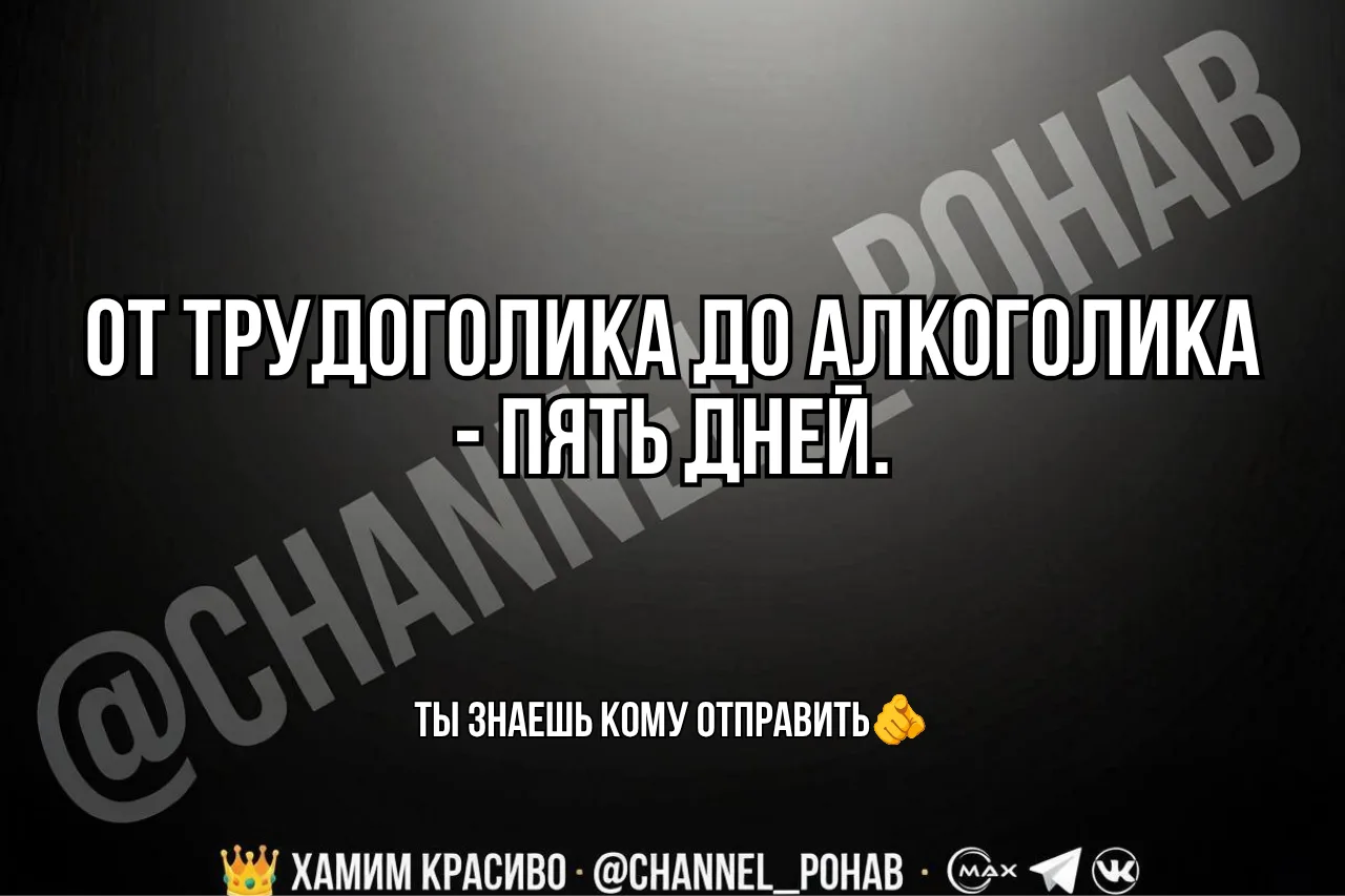 #жиза