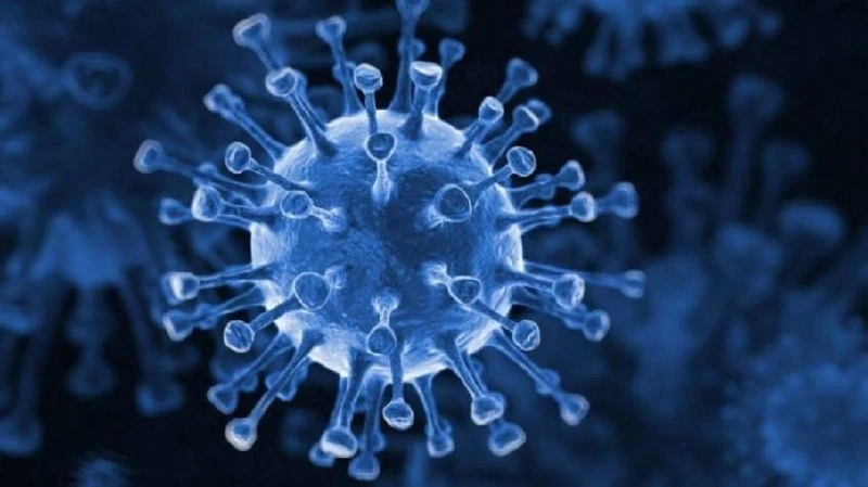 🦠С 20 по 26 июля в Псковской области зарегистрировали 851 случай ОРВИ

Более половины из них (53,9%