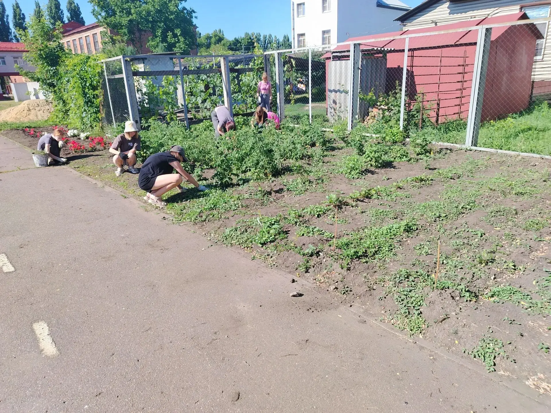 🌿На учебном опытном участке кипит работа: школьники вносят свой вклад в общее дело! 
⏰На учебном оп