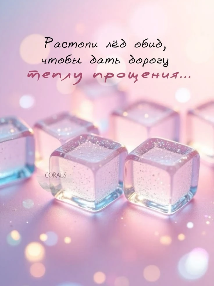 https://max.ru/invista123456