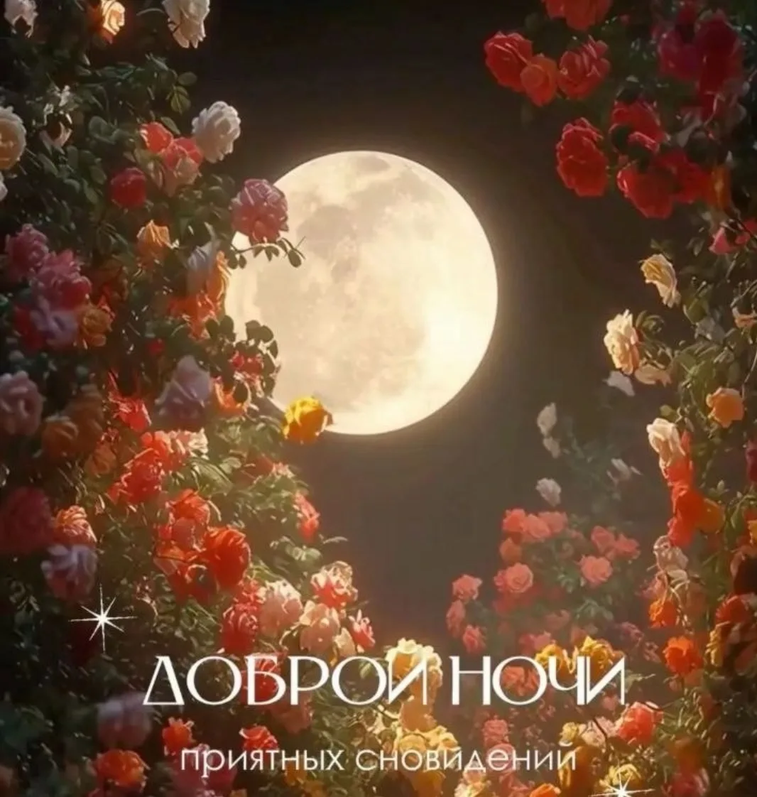 Доброй ночи, дорогие друзья