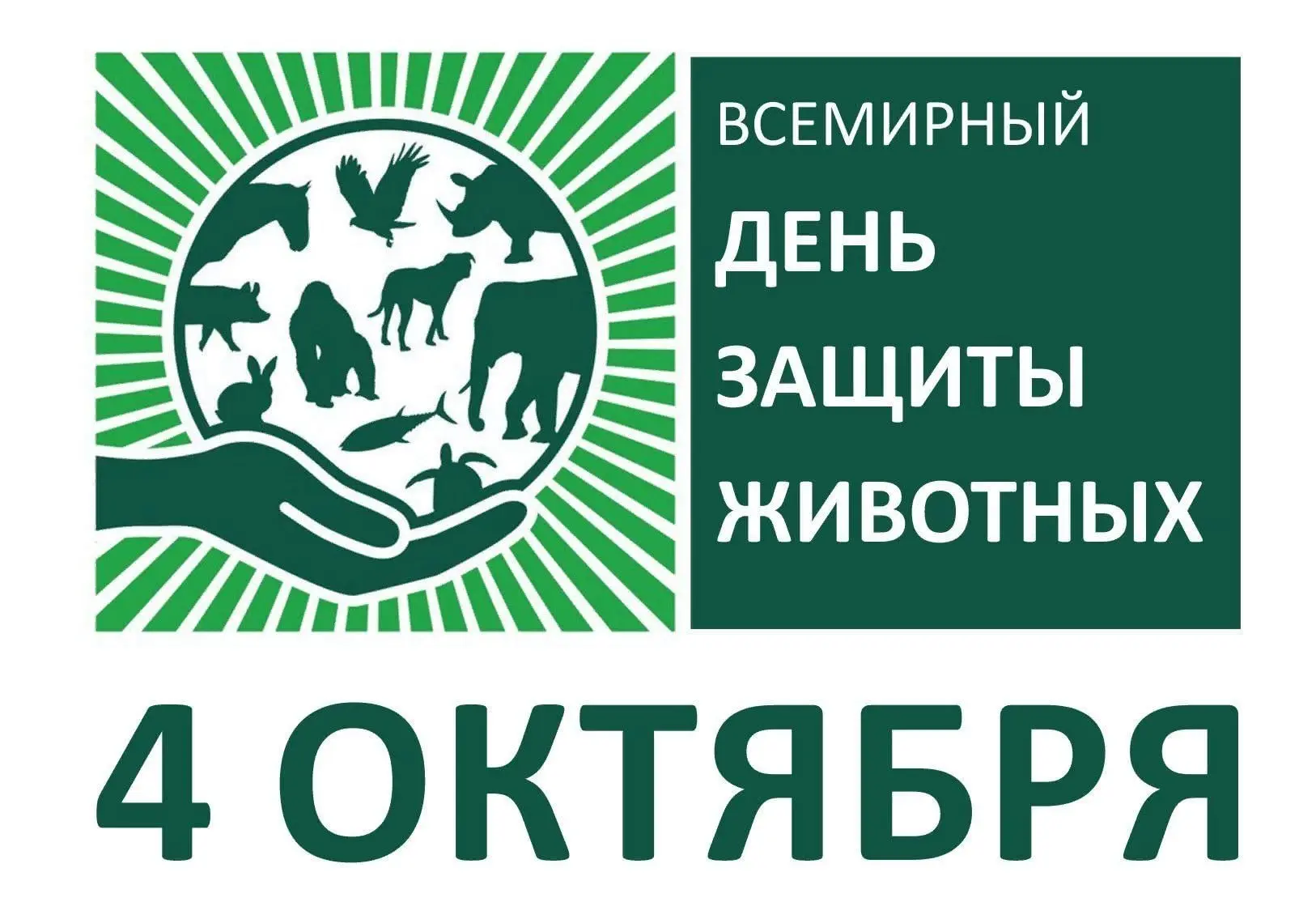 ✨И вновь о тех, кто с нами рядом...✨
