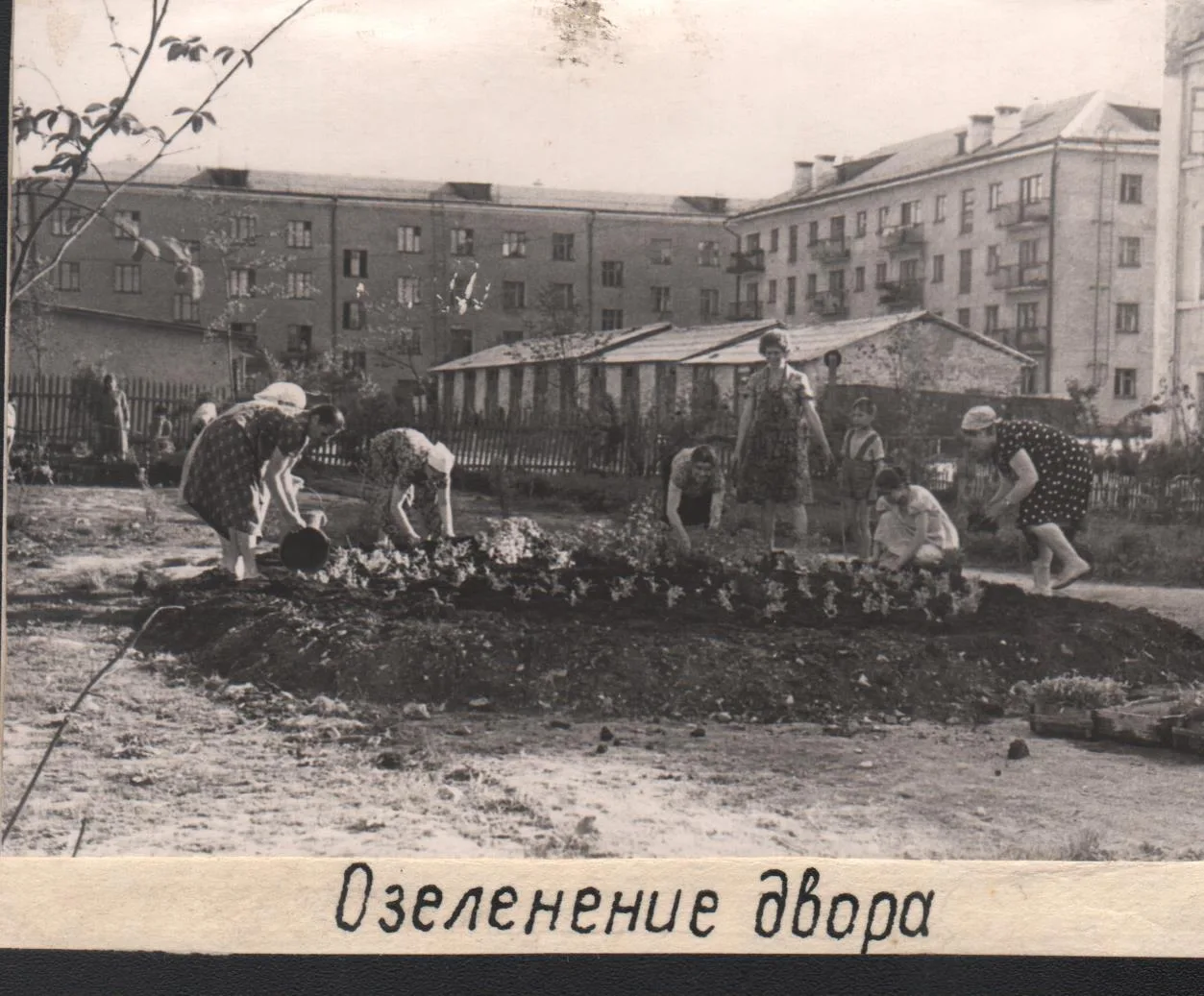 Асбестовцы высаживают цветы на клумбе в своем дворе. Год, к сожалению, неизвестен.
