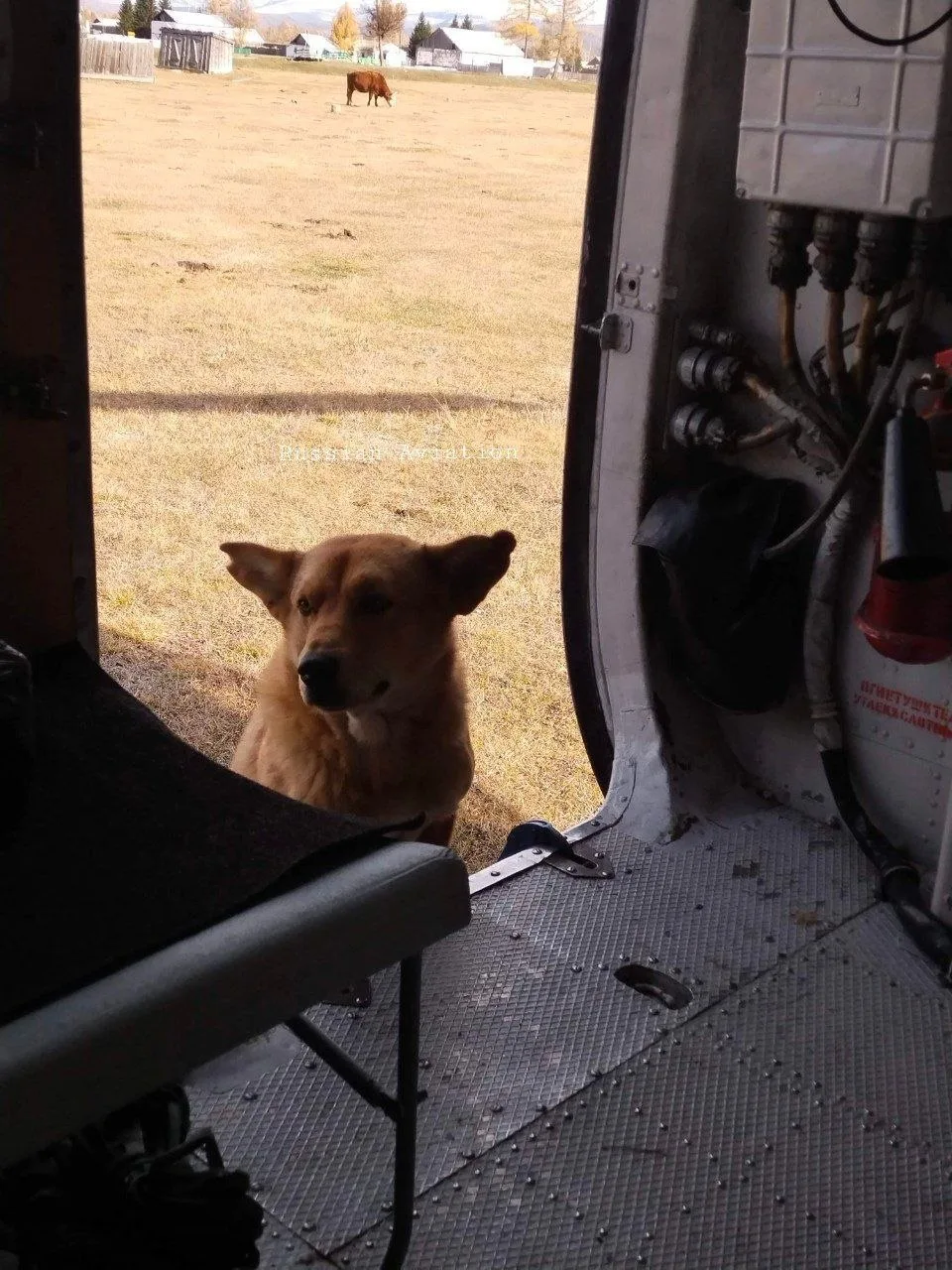 Здравия желаю страна 🇷🇺
Продуктивного всем дня 🚁

#БЫТЬДОБРУ