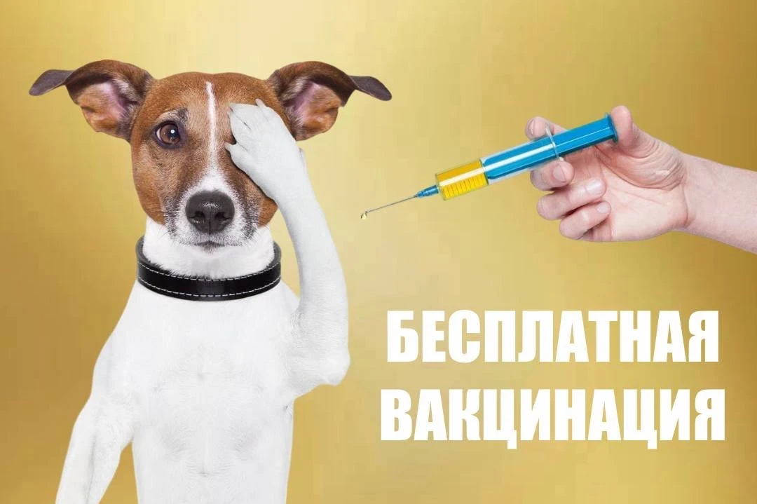 ▪️ВАКЦИНАЦИЯ▪️