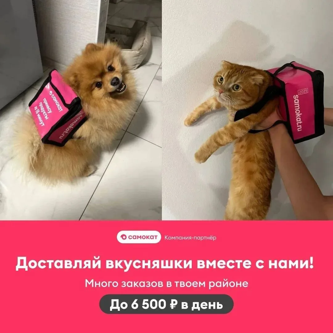 До 180 480 ₽/месяц курьерам! 🎉
Велик предоставляем. Слоты от 2 часов/день.

Анкета: [контакт скрыт]