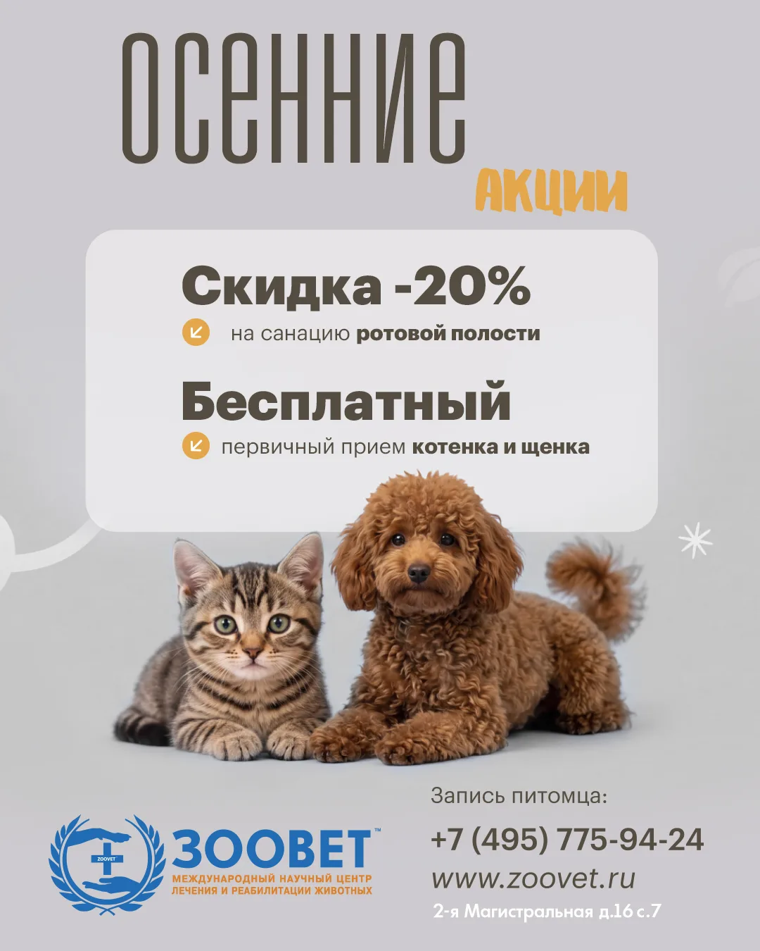 Дорогие друзья! 🐾
