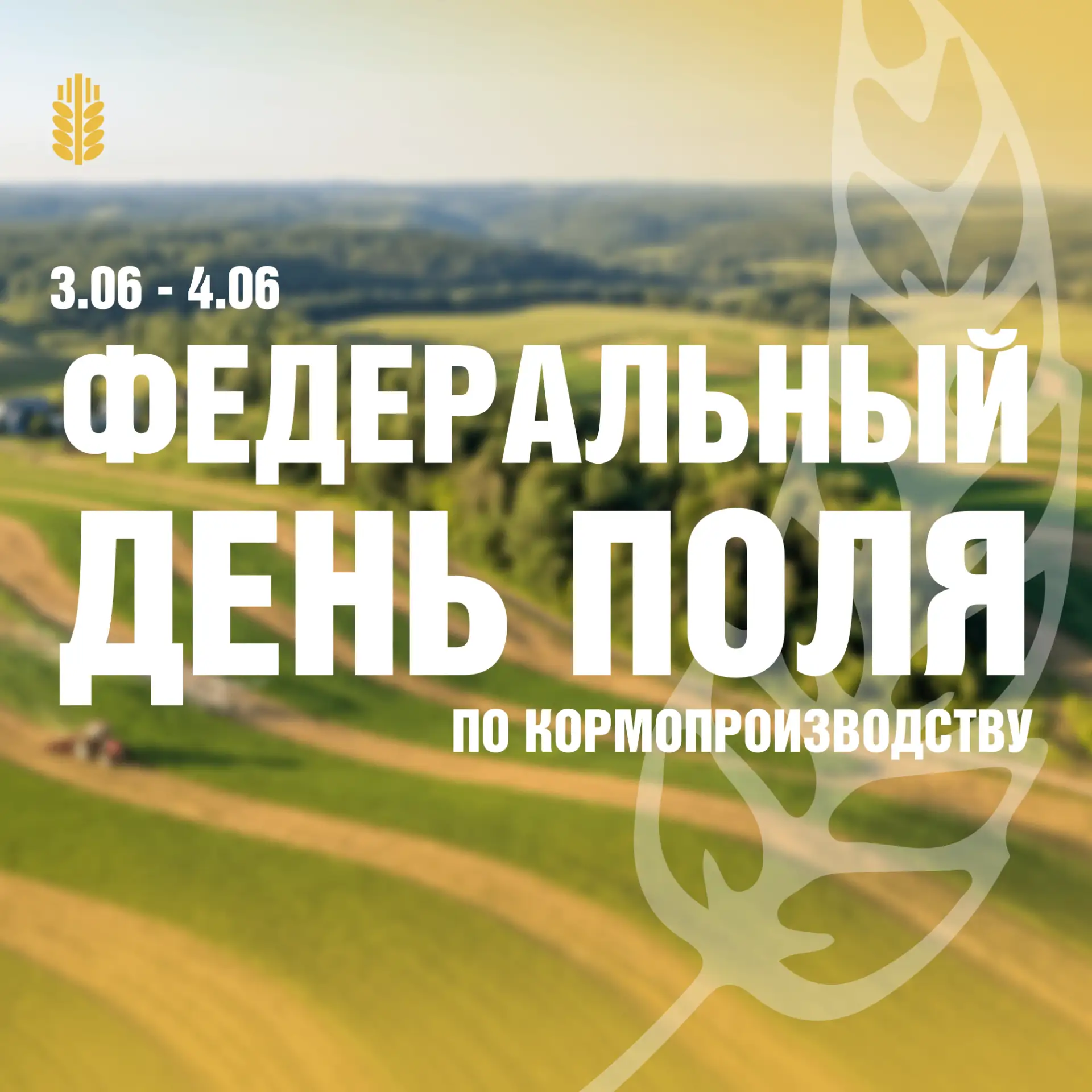 В Татарстане пройдет Федеральный День поля по кормопроизводству