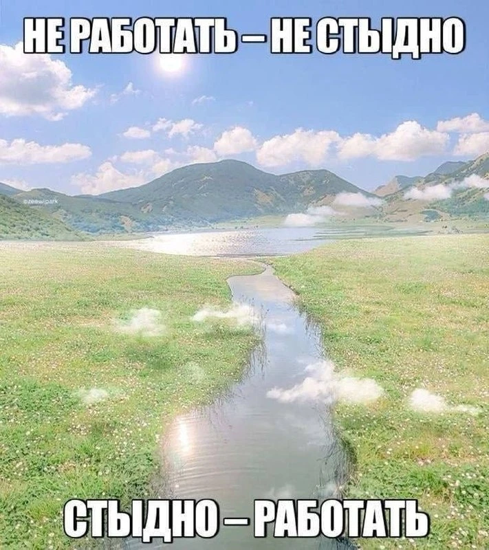 Топ мемов