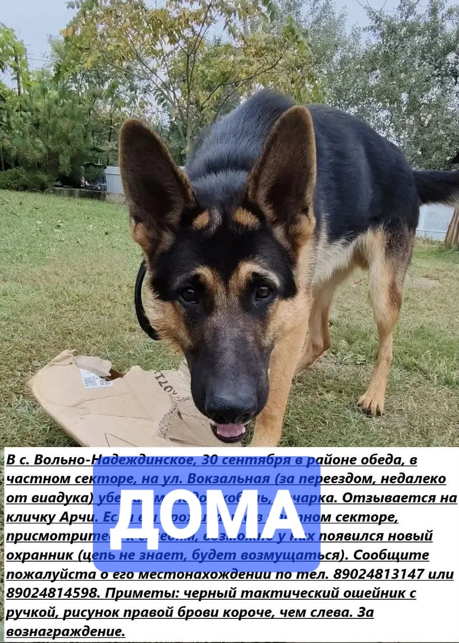 Вольно-Надеждинское