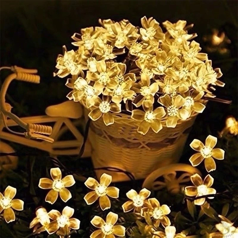 https://vk.com/photo-184814919_492832315