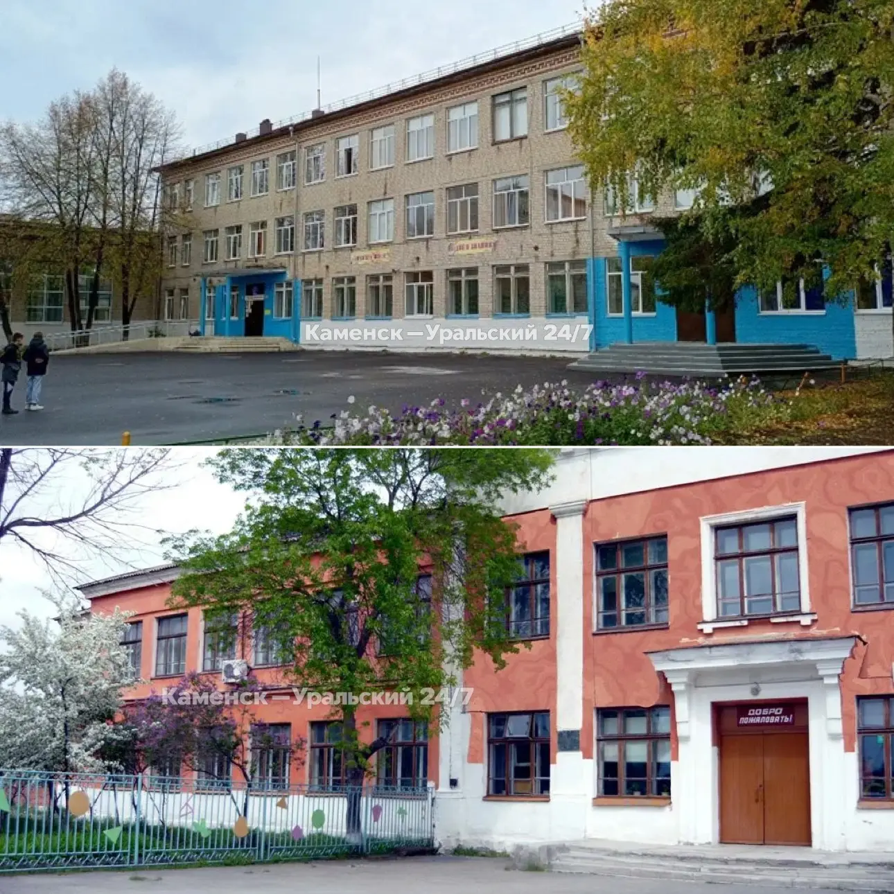 🍽 В школе №19 нашли мух, а в школе №32 — жучков