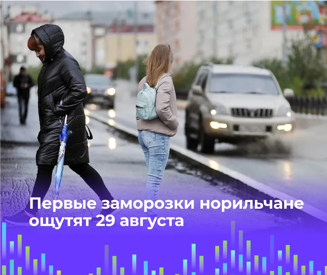 🥶 Первые заморозки норильчане ощутят 29 августа