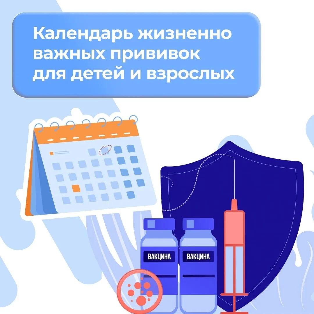 В России действует Национальный календарь профилактических прививок — документ, который...