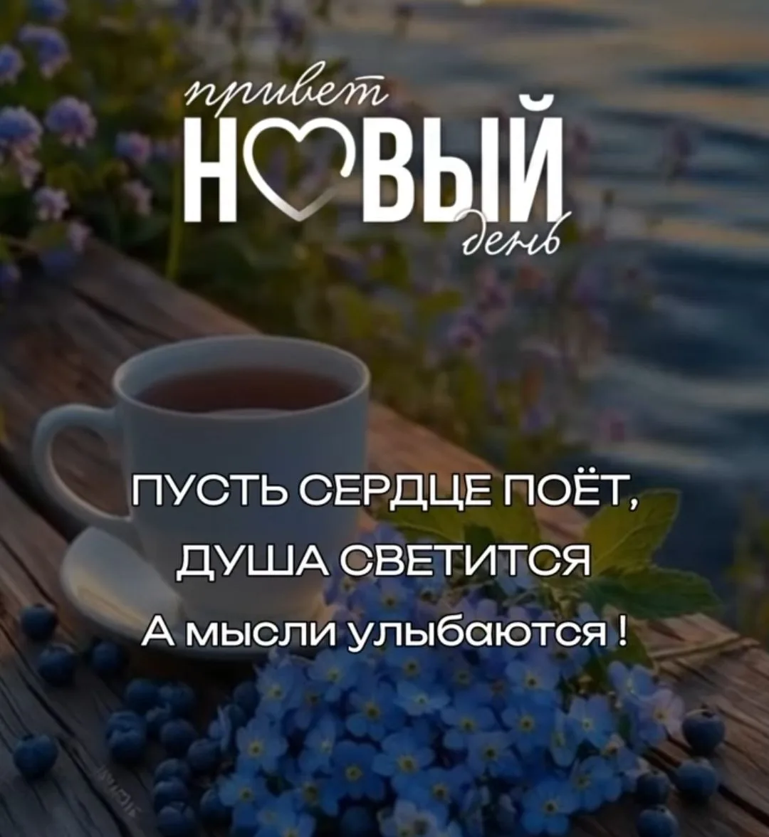 Доброе утро 🌞