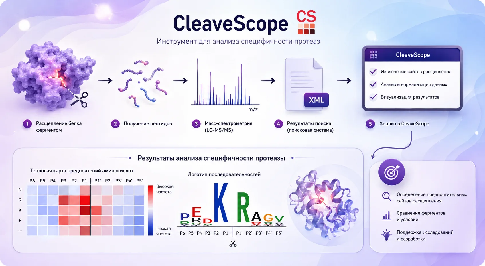 📊 Российские ученые разработали программу для анализа специфичности протеаз

Специалисты Института 