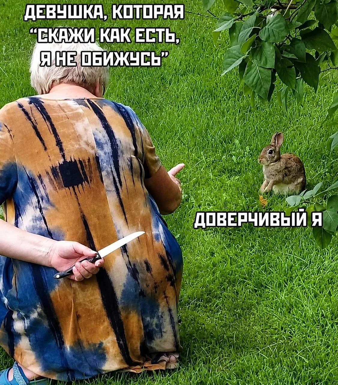 Важный Гусь