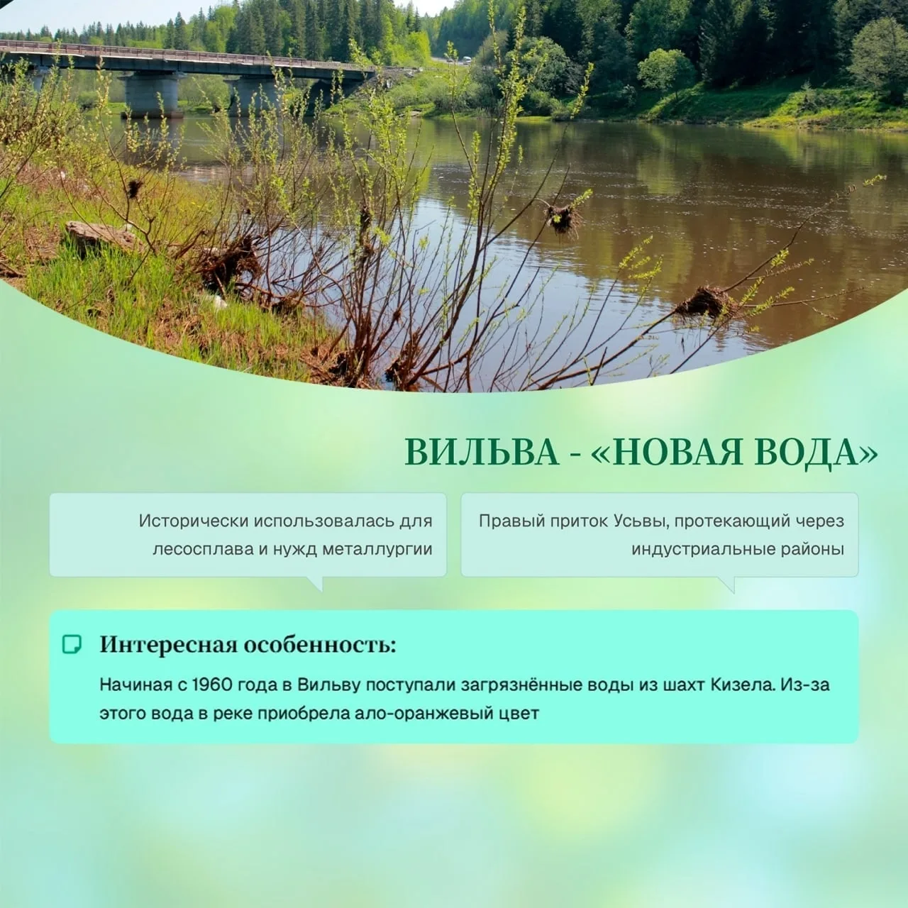 🌊 Что объединяет крупные реки в Пермском крае?  Школьники из Гимназии №2 г. Перми в рамках проекта «