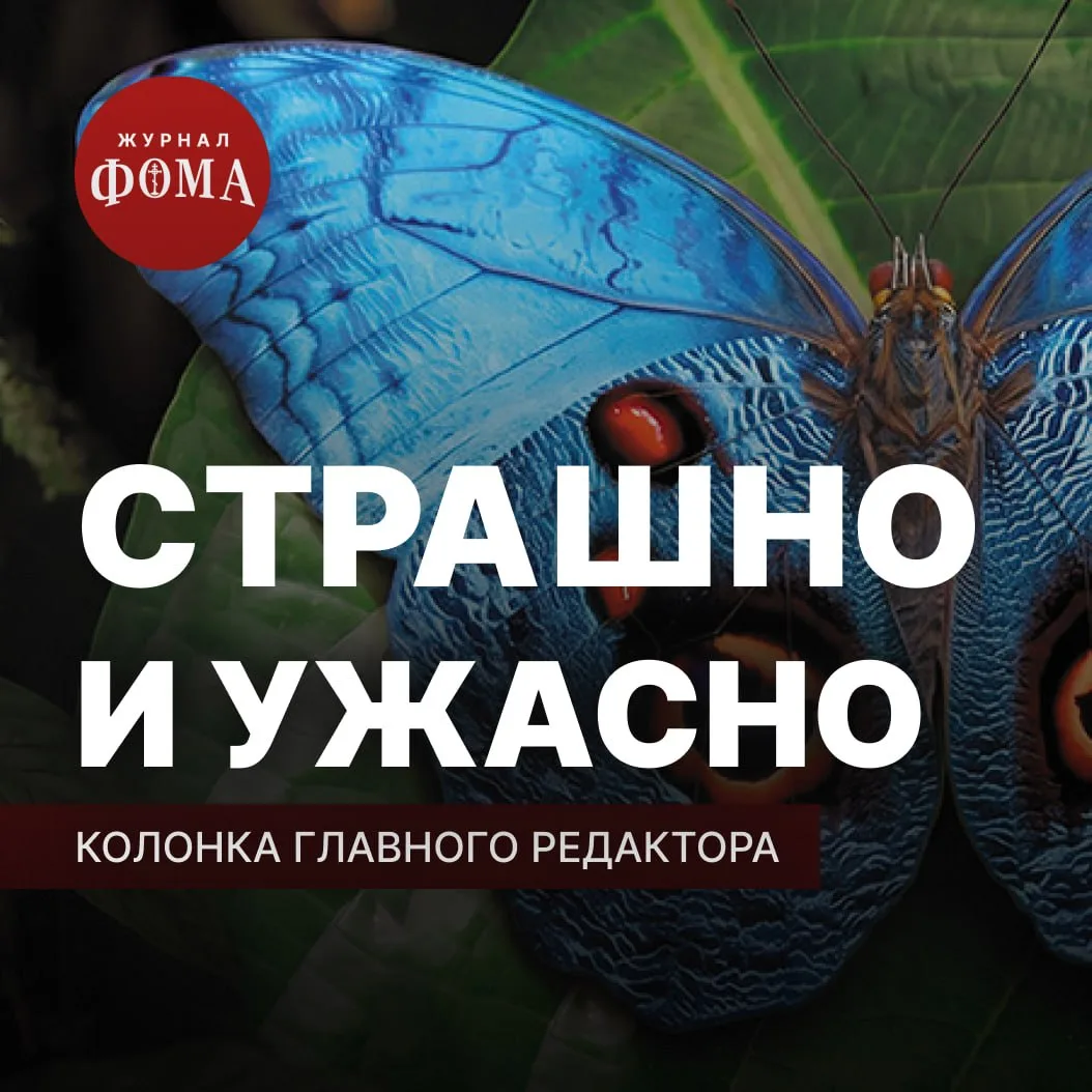 Цитируя знаменитые слова Мити Карамазова, нередко упускают из виду сущностно (если не с...