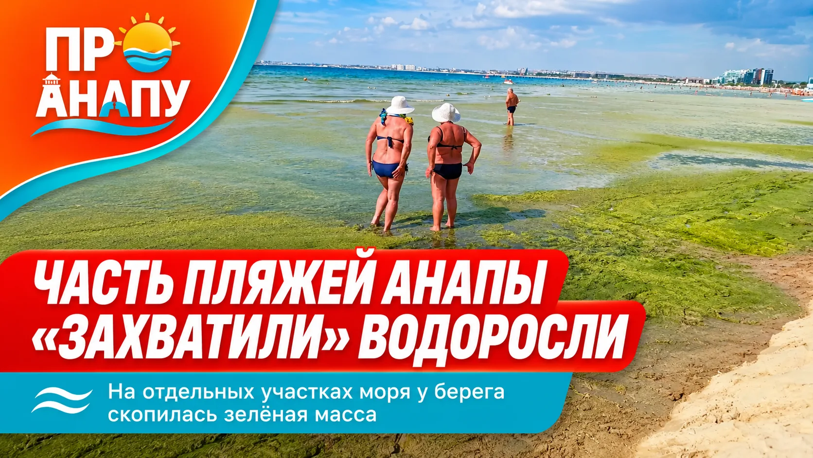 Часть пляжей Анапы «захватили» водоросли