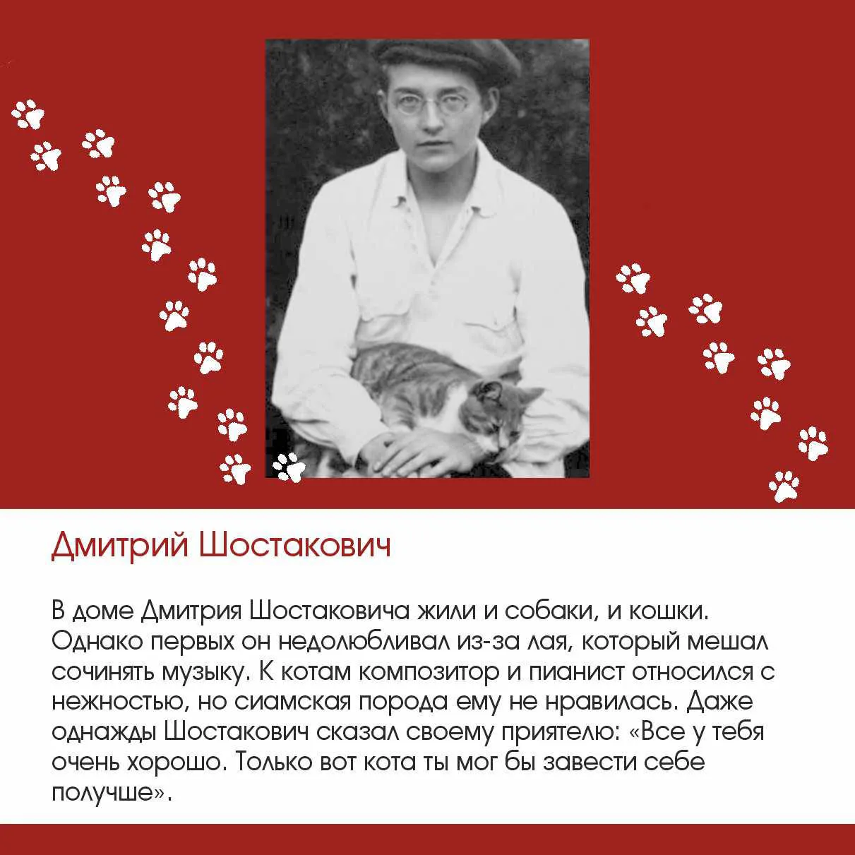 🐾 Усатые-хвостатые как источник вдохновения

Во Всемирный день кошек рассказываем, кто из композито