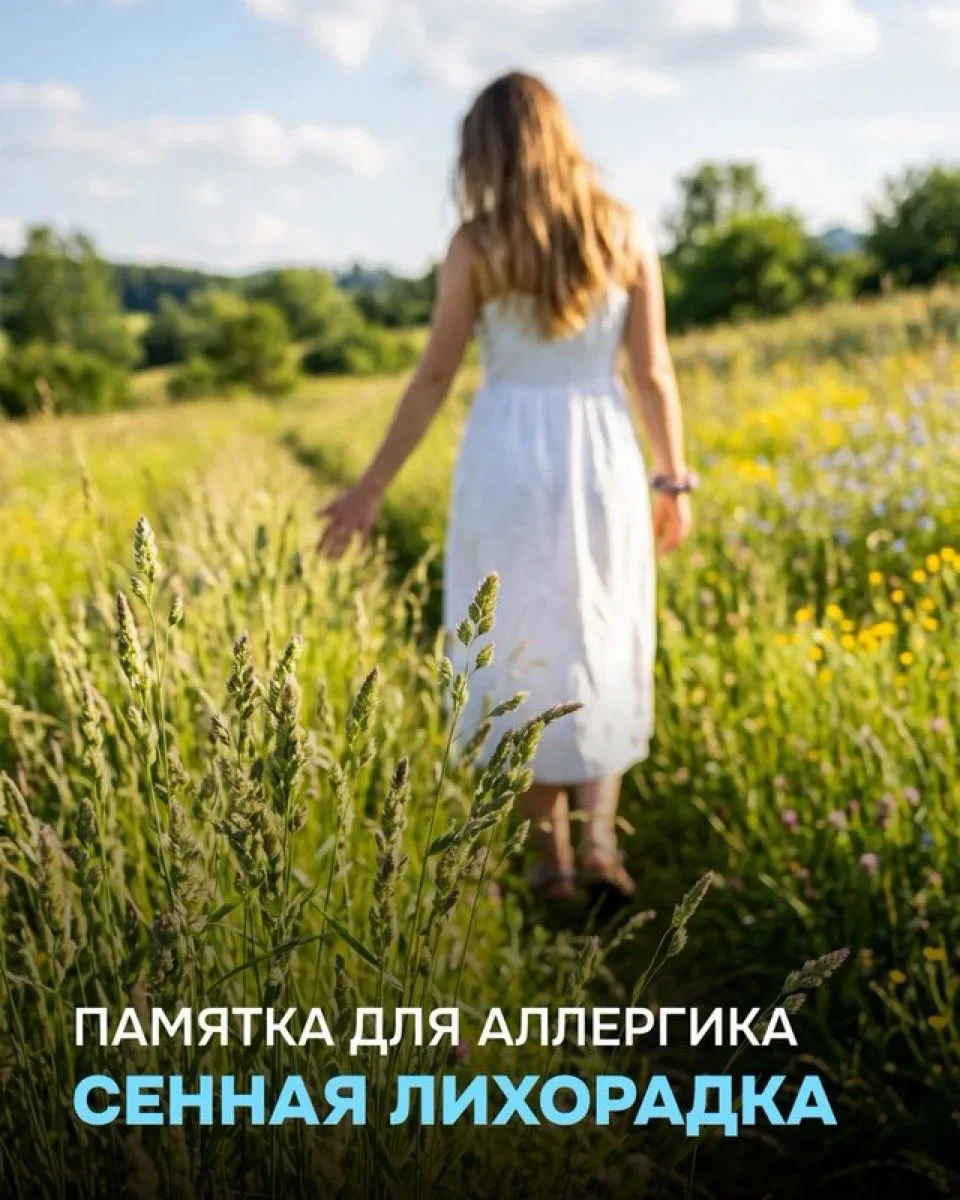 Сенная лихорадка или сезонный аллергический ринит — это реакция иммунной системы на пыльцу растений.