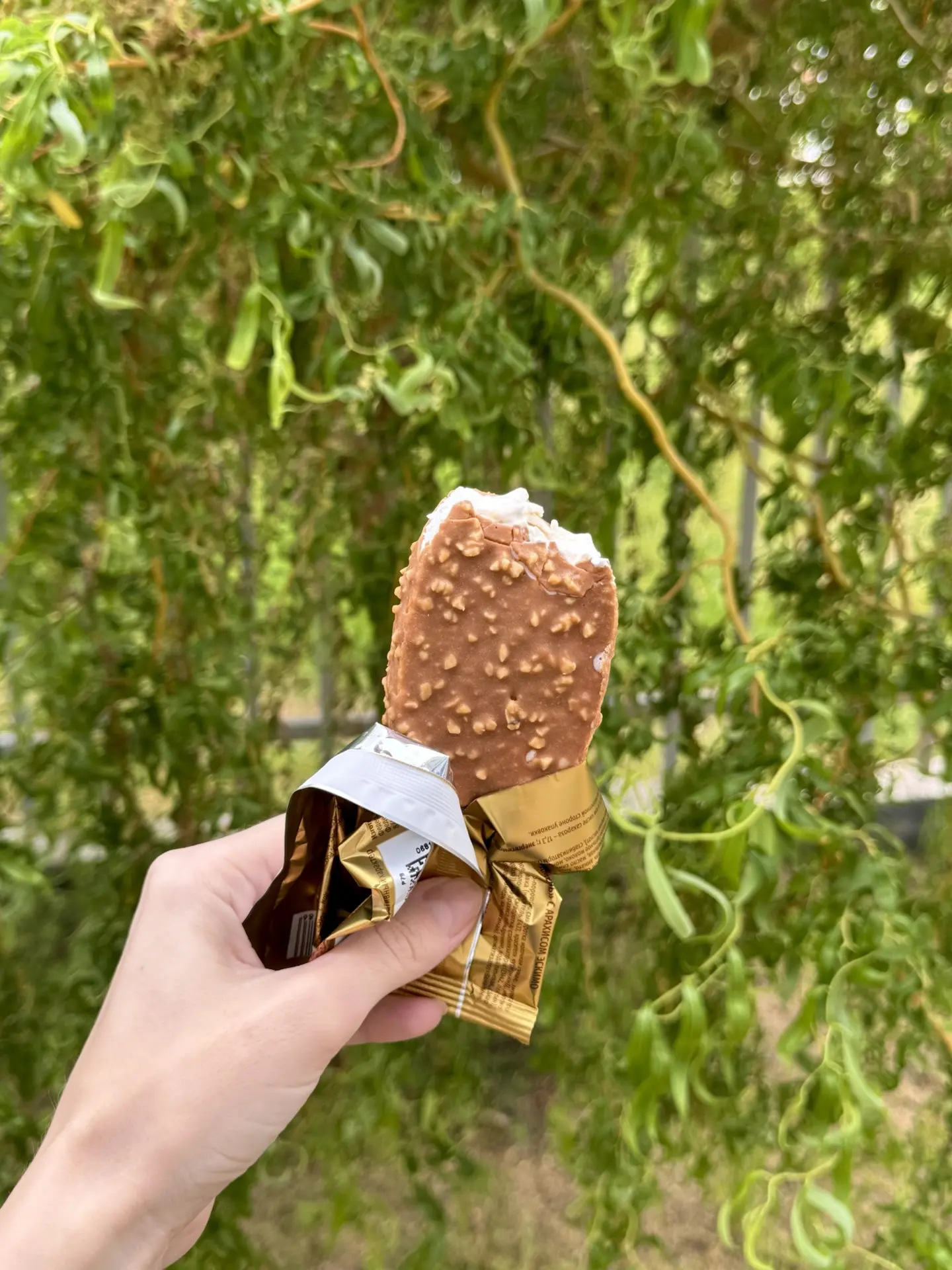 🚀 Новый этап: от классики к степу!