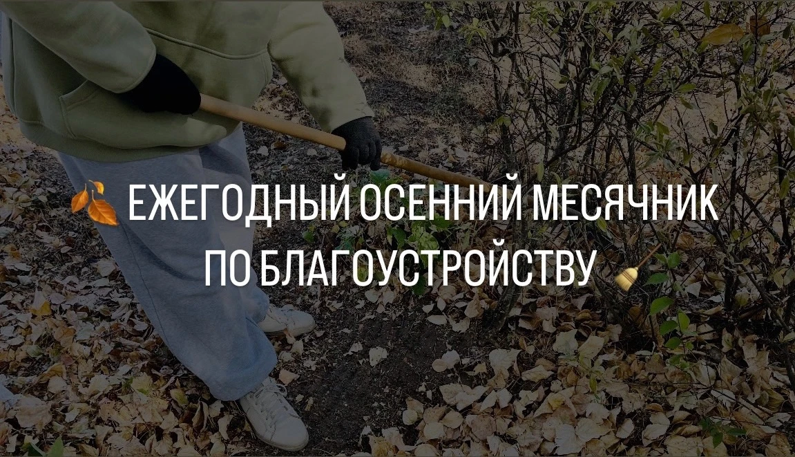🍁 Октябрь в Павловске  - время золотой листвы и добрых дел! С 1 по 31 октября в городе...