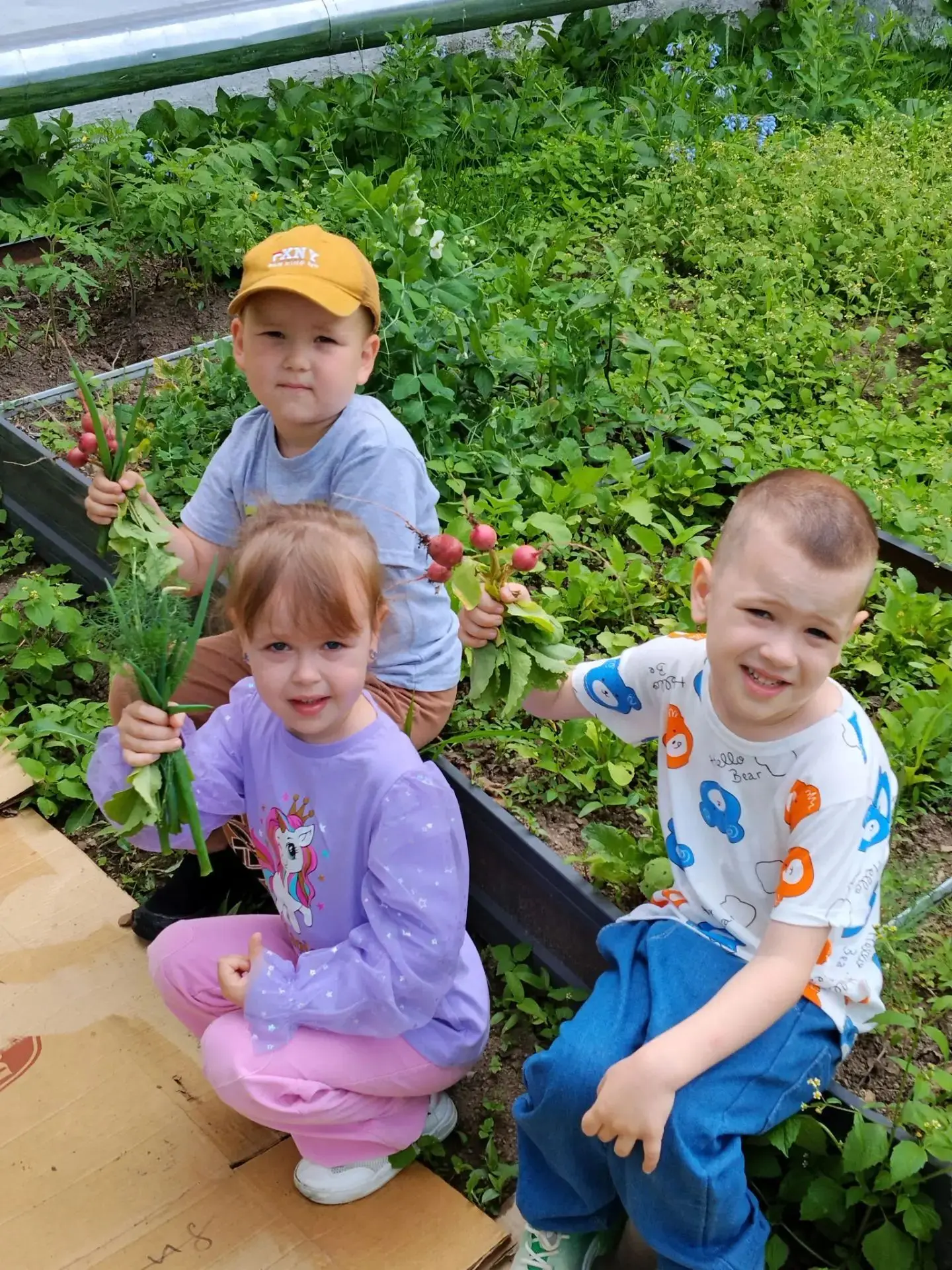 **Маленькие руки — большое дело! Наш первый урожай 🌱**