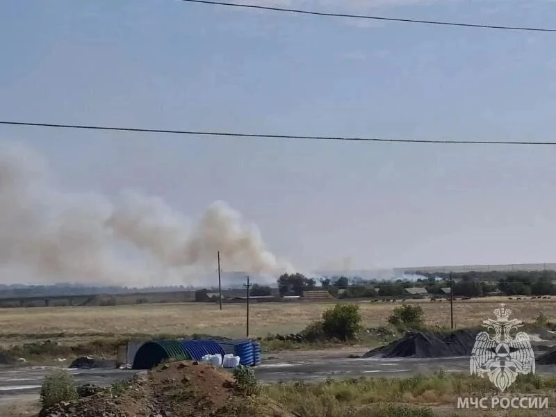 ‼️Серьезный пожар ликвидируют в Домбаровском районе.

По данным МЧС России по Оренбуржью, горит суха