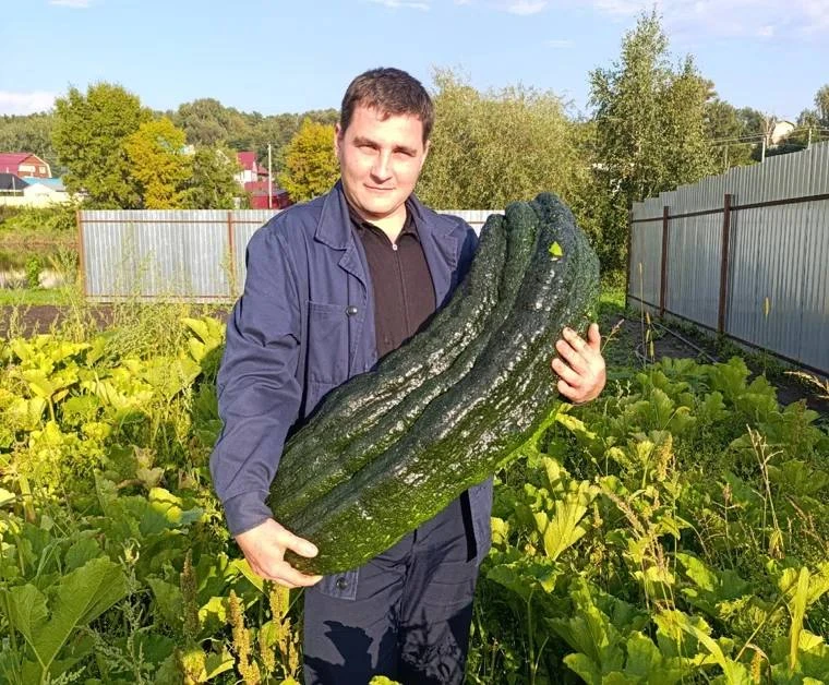 Помните курганца с кабачком на 23 кг? Он раскрыл секрет.