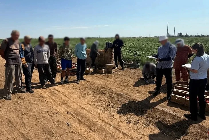 В Волгоградской области очередная волна рейдов против нелегальной миграции прокатилась ...