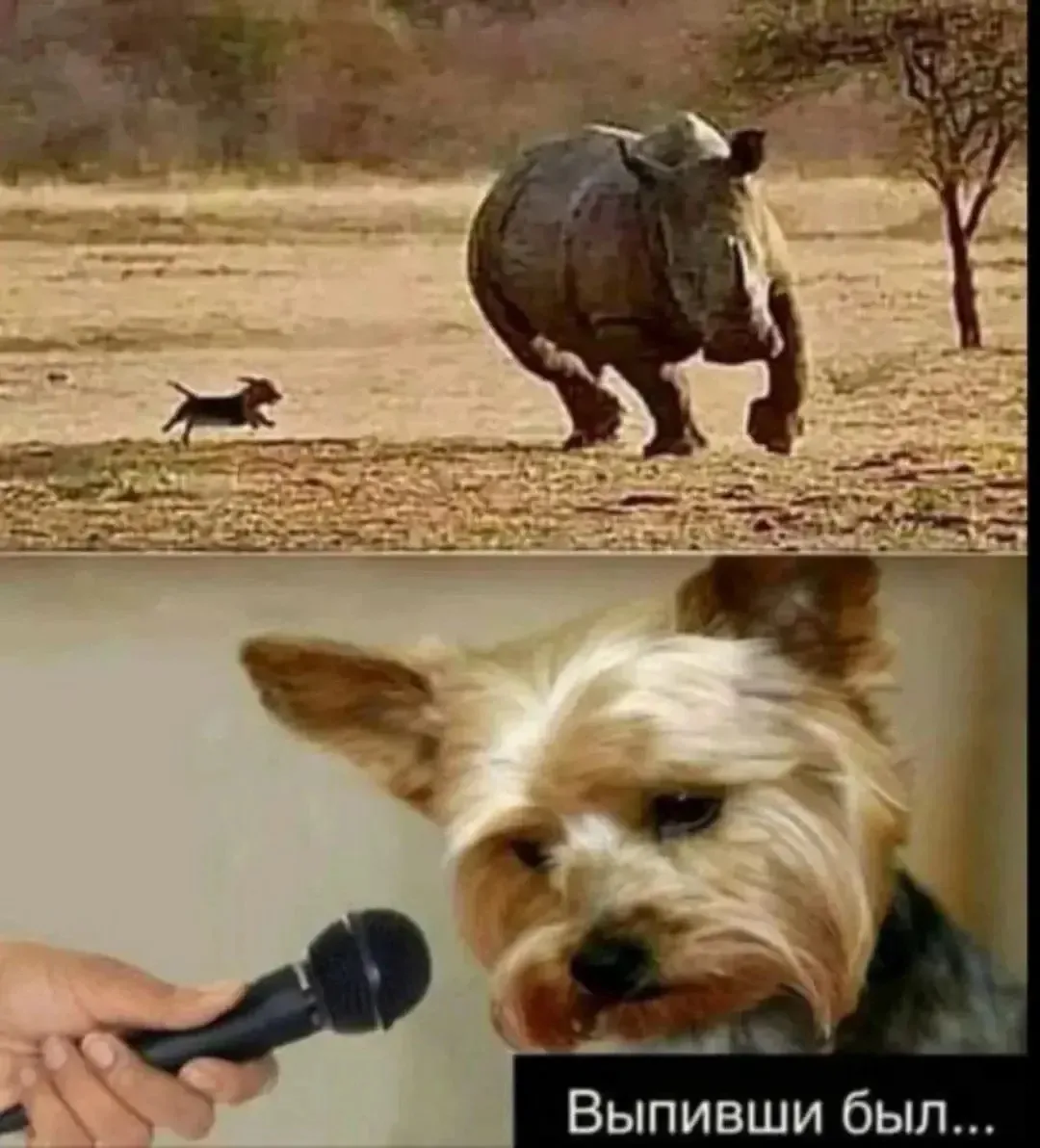 Измененное сознание моментально меняет фактичность мира 😂