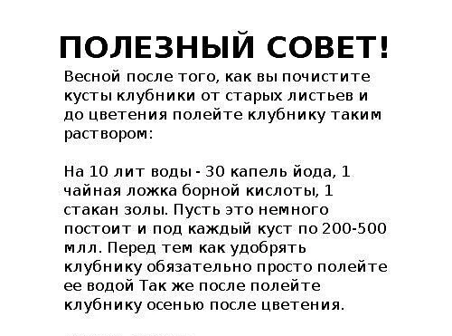 НАШИ КАНАЛЫ: