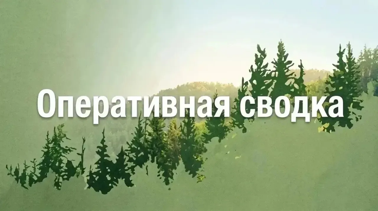 🔥 Оперативная сводка по пожарам за прошедшие выходные