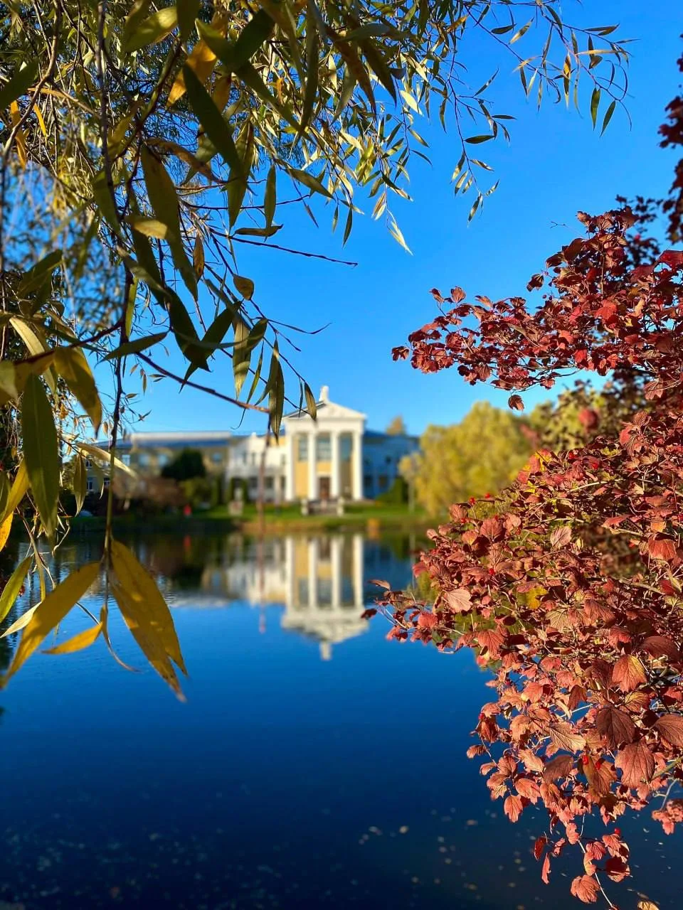 🍂Осень в Ботаническом саду им.Цицина